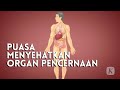 Simak Manfaat Puasa Untuk Tubuh Manusia