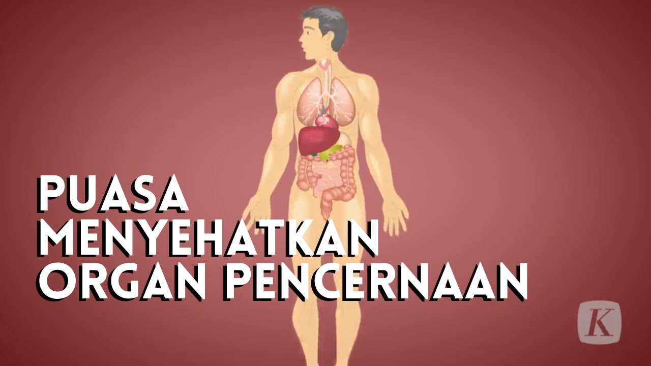 Simak Manfaat Puasa untuk Tubuh Manusia