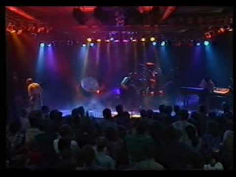 The Nits - In the Dutch Mountains (live 1988)