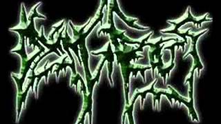 Dying Fetus - Vomiting the Fetal Embryo [Acapella Vocal Cover]