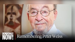 Download lagu Legendary Human Rights Lawyer Dies at 99 mp3