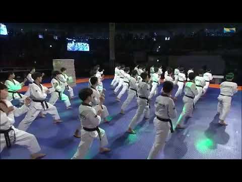 KUKKIWON TAEKWONDO DEMO TEAM