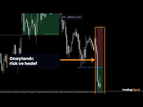 Video Double Top Bottom Head and Shoulders Levels MT5