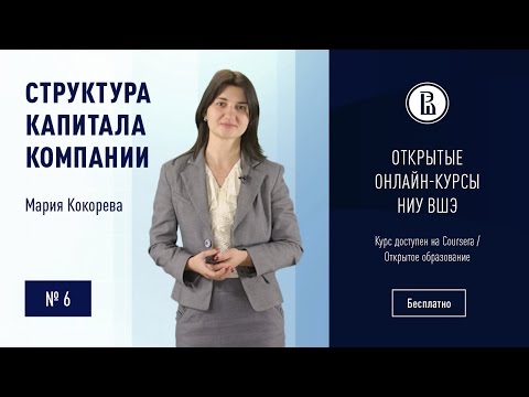 Структура капитала компании: Показатели структуры капитала компании #6  / ТерраДоксИнвест