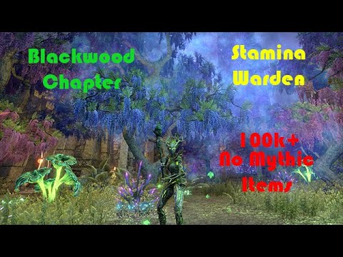 [No Mythic] Stamina Warden 100k DPS PVE Blackwood Chapter (Live EU server)