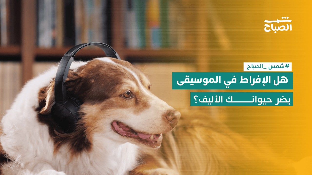 فيديو | شمس الصباح | هل الموسيقى تهدئ الحيوانات أم تسبب توترها؟