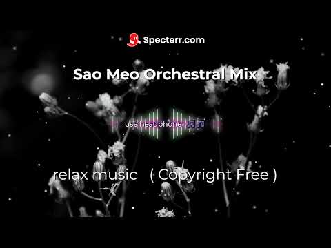 Sao Meo Orchestral mix || VTM