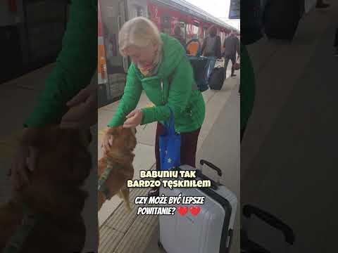Piesek czeka na dworcu na 🧑‍🦳❤️🐶 #piesek #zwierzęta #kundelek #pieski #babcia #pies #pieskieżycie