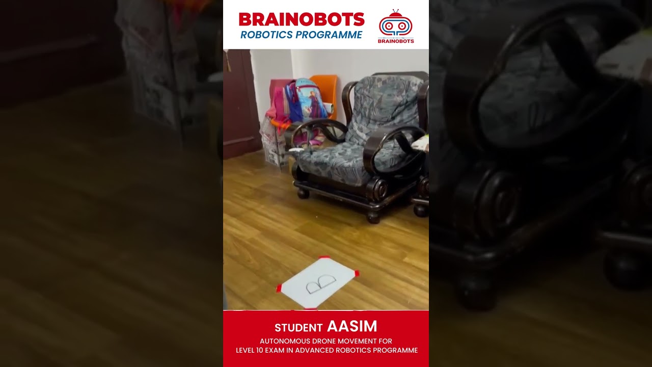 Programmable Drone