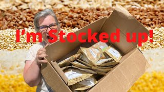 Buy Vegetable Seeds in Bulk | Save Money, Time, and Be Prepared