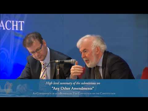 2014.02.23 Convention on the Constitution. High Level summary of submissions 'Any Other Amendments'