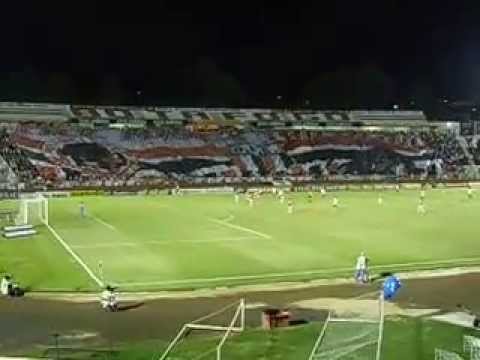 Bandeirão da Fiel Força Tricolor ( Botafogo-sp ) Ribeirão Preto