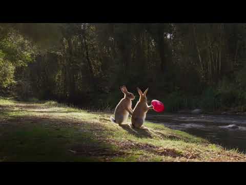 15 MIN ASMR: Cute Hares in Love by the Stream (River Sounds, Forest, Valentine's Day) 🐇💖🌊