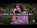 LUT GAINI BARBAD HOGAINI RANI HO TOHRA PYAAR MEY SLOWED AND REVERB BHOJPURI LOFI SONG ️