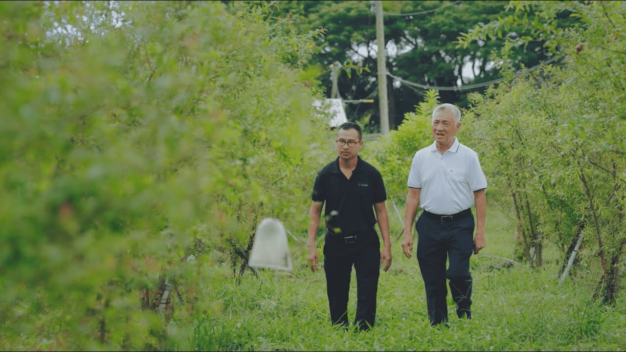 RYNAN Insect Monitoring System in Vietnam & Japan 2024 (EN/VN/JP/TH Subs)