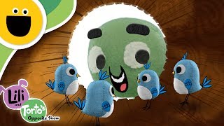 In and Out | Lili &amp; Torto&#39;s Opposite Show (Sesame Studios)