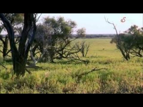 Zeitreise zu den Dinosauriern Ära der Dinosaurier 3 4 Dokumentation Deutsch HD