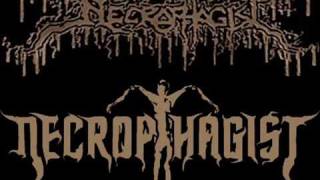 Necrophagist - Advanced Corpse Tumor (Solo)