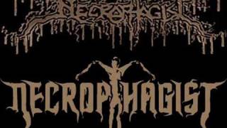 Necrophagist - Advanced Corpse Tumor (Solo)
