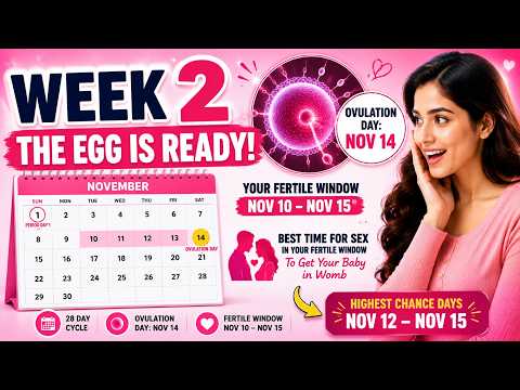 Week 2 Pregnancy | Ovulation Time! Could This Be Your Month?