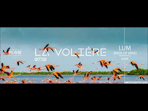 Nato & Sahalé - La Volière Mix (Organic Downtempo | Africa Oriental | Ethnic Deep House Electronic)