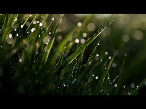 download lagu mp3 mp4 Folk Background Music, download lagu Folk Background Music gratis, unduh video klip Folk Background Music