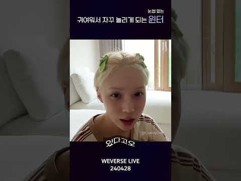 귀여워서 자꾸 놀리게 되는 타격감 찰진 눈썹 없는 윈터