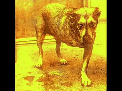 Alice in Chains - Heaven Beside You