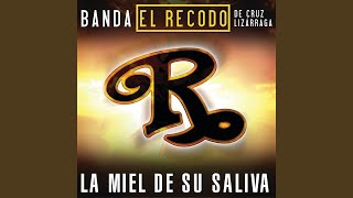 La Miel De Su Saliva