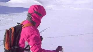 preview picture of video 'ski de rando dans le Queyras Anne Stephane Debauge Stephane Gaudry Arnaud et Vincent.m4v'