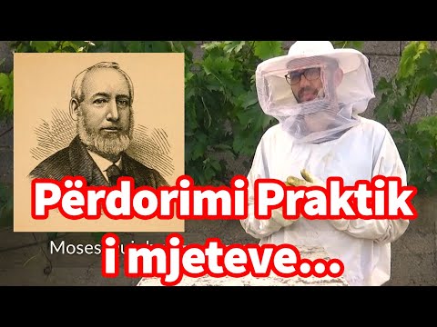 🔴Episodi 2: Përdorimi praktik i mjeteve themelore [ Bletaria Shqip ]