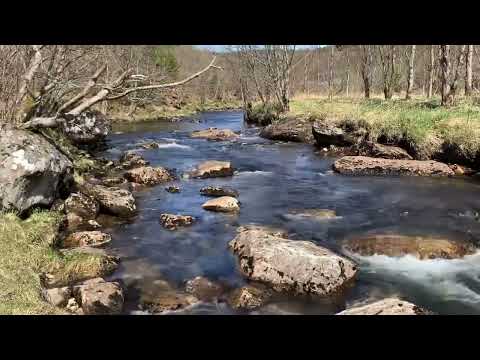 Daniel Hîrtie - Alege-L pe El