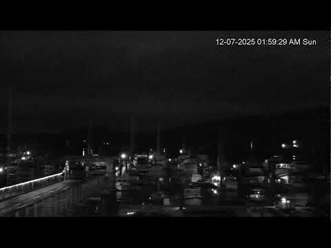 Shipyard Cove Marina thumbnail