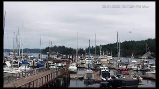 Shipyard Cove Marina