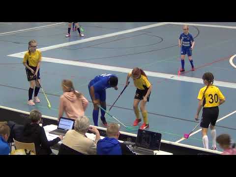 Nibacos valk - PaSu Hollihaka Kokkola