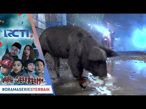 IH SEREM - Teror Babi Hitam Di Kp Bambusari [13 Desember 2017]