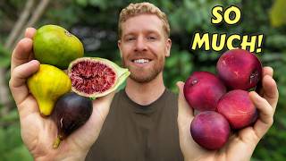 Fruit Is Falling Faster Than I Can Pick It!