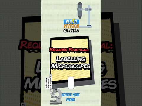 Mastering Microscope Labeling With A Printable Worksheet