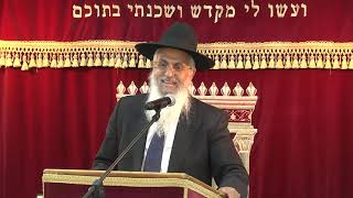 גניבה וגזילה חלק ד | חושן משפט | הרב יורם סרי
