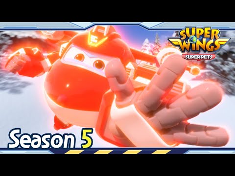 Witness21 Editor  2021 12 18