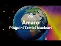Pinguini Tattici Nucleari, Amaro (Testo/Lyrics)