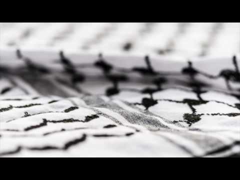 Long Live Palestine Part 2 - Lowkey, Shadia Mansour, Eslam Jawaad, Hasan Salaam, DAM, Narcy, Hichkas