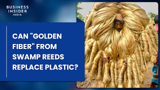 Can Golden Fiber From Swamp Reeds Replace Plastic?