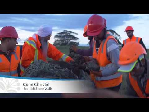 Ōtuataua Stonefields Reserve | Auckland Council