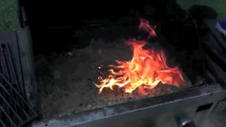 MY KIDS TURTLES FUNERAL