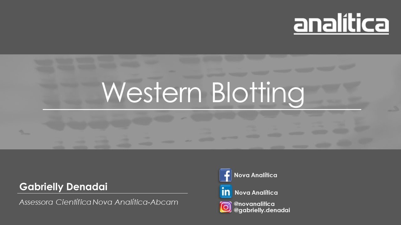 Webinar Western Blotting