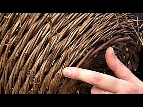 Special Willow Weaving Techniques: Rope Coil Waling