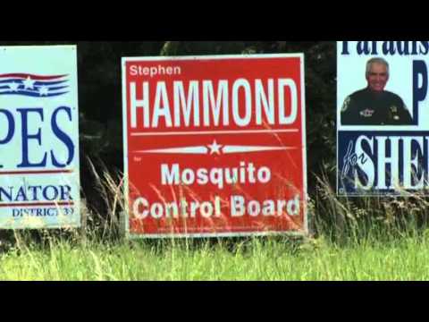 Controversy Over Genetically-altered Mosquitoes