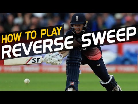 How to play the REVERSE SWEEP | Reverse Sweep Training and Drills | Cricket Batting Coaching