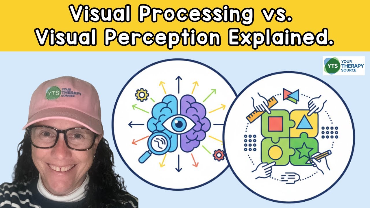Visual Processing and Visual Perceptual Skills Explained